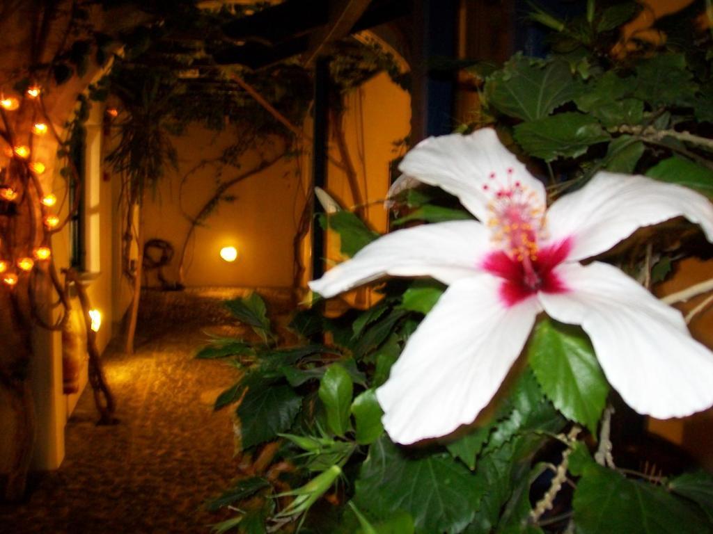 Villa Spyros Santorini بيريسا المظهر الخارجي الصورة